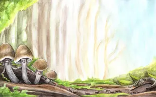 Podpořte KOLODĚJE - houbové hrdiny