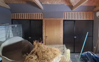 Postavme společně útulek pro kočky a psy