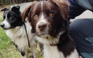 Pomozte Lokimu žít plnohodnotný život