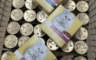 Prosba o příspěvek na nákup krmiva a steliva pro kočičky z Píšánku