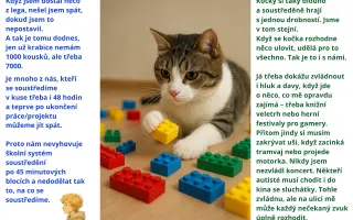 Podpořte vydání knihy Mami, kočky a autisty nepředěláš