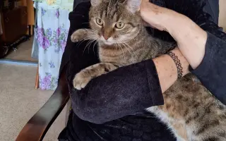 8 nalezených Lásek