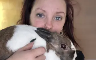 Králíčkovi Kájovi na operaci zubů