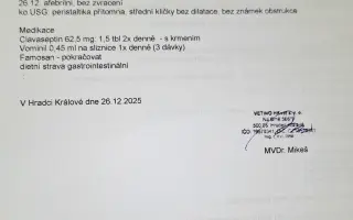 9 nalezených Lásek