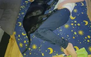 Pomozme Elince znovu chodit bez bolesti: Boj s přetrženými vazy