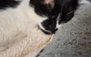 9 nalezených Lásek