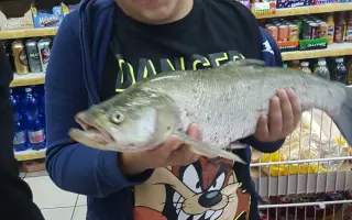 Pomozte Pavlovi vrátit se k nám zpět