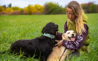 Voříškov přijal 45 nových chlupáčů - pomůžete spolu s námi změnit jejich příběh?