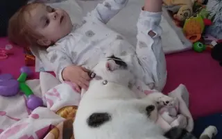 Zdravotnický kočárek pro Natálku