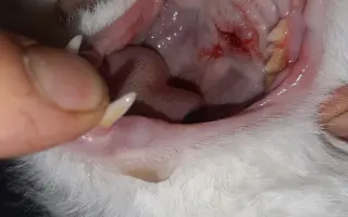 Pomohli jste Honzíkovi po postřelení k poslední operaci