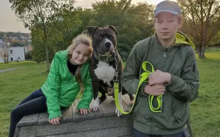 Pomozte Rockymu na nohy