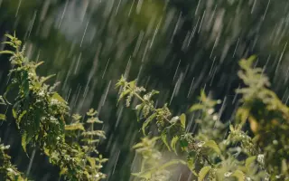 Podpořte film PORTRÉT VODY v cílové rovince!