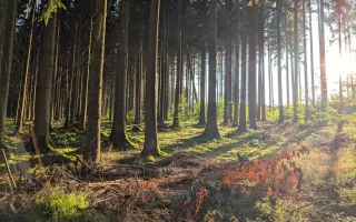 Klondyk - místo, které máš rád