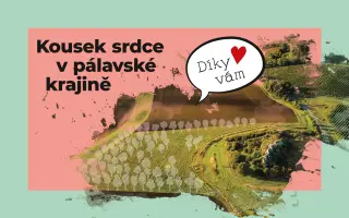 Pomohli jste proměnit pole v živý krajinný koridor na Pálavě