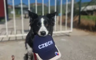 Pomozme čtyřnohým hrdinům zachraňovat lidské životy