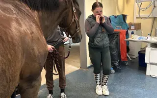 Miracle Joy After Storm ✨🐴