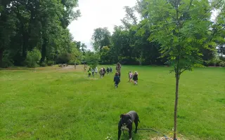 Dětský charakter roste s knihou a lesem
