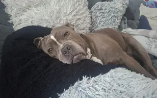 Pomozme Ele opět poznávat svět