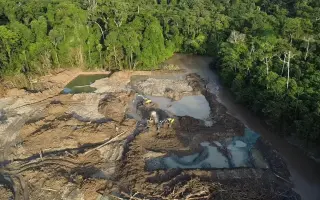 Amazonie volá o pomoc: zachraňme tisíce druhů zvířat a rostlin před těžaři