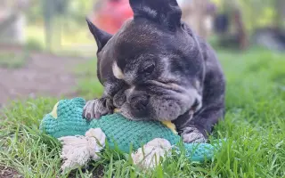 10 let nestačí – pomozme Mailovi dál❤️