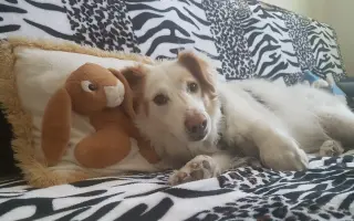 Šťastnější dny pro Miu