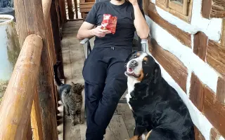 Kapela LakyMari v albu "Kind (of) mind" dává hlas zvířatům, podpořte jeho vznik.