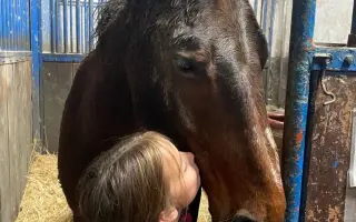 Důstojný život pro naše koňské kamarády