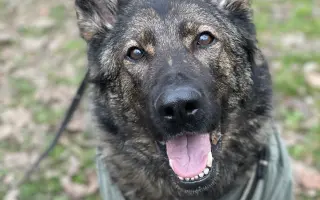 Léčba, která nekončí - Fůrie