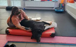 Mladou fenku srazil vlak, pomožme jí k pohybu rehabilitací.