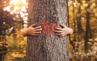 Sázíme stromy: Pomozte nám sázet i keře
