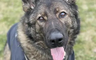 Léčba, která nekončí - Fůrie