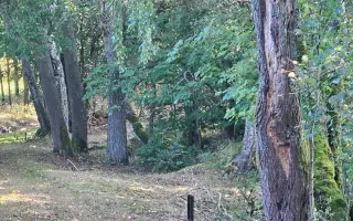 MEDITATIVNÍ KŘÍŽOVÁ CESTA V OBOŘE