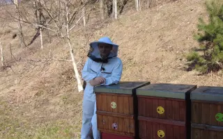 Přispějte na vznik unikátního apidomku v Jeseníkách