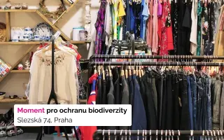 Daruj s námi naději – pro mámy samoživitelky a věci, co zaslouží druhou šanci