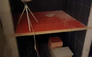 Druhá šance začíná tady: Rekonstrukce karantény pro kočky a skladu