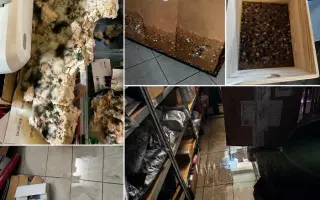 Toxický kouř zničil prodejnu Daroland. Pomozte Lucii začít znovu.