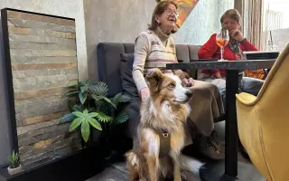 Vracíme barvy do života