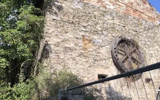 Statek naděje – nový domov pro psy
