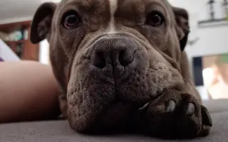 Pomozme Ele opět poznávat svět