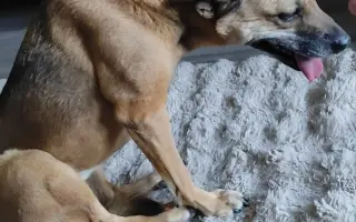 Pomohli jste Barunce na operaci kolen