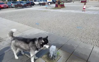 Velká šance pro bojovnici Kačku