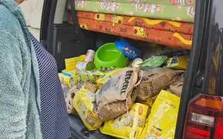 Pomozte nám pořídit útulkové auto pro převozy zvířátek v nouzi