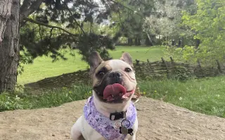 Pomozte nám zvládnout nečekanou operaci❤️‍🩹