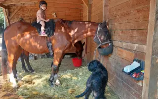 Přístřešek pro zvířata z Kozího spolku