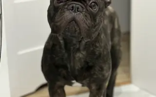 Pomozme Calvinovi zpět na nožičky