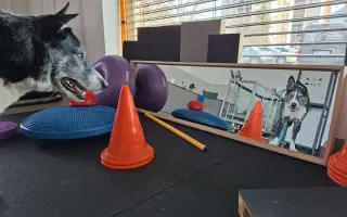 Život bez bolesti pro Mildu