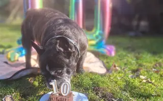 10 let nestačí – pomozme Mailovi dál❤️