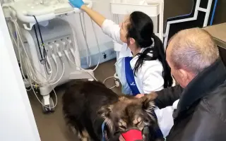 Zachraňme společně nemocného Badýska