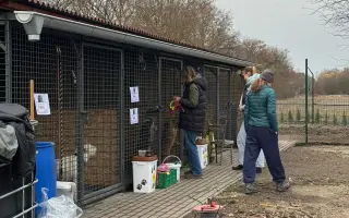 🐾 Plná miska, šťastné srdce – Pomoc pro pejsky 2026 🐾