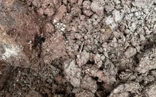 Nečekaná havárie ohrozila náš domov – Eva a Simona prosí o pomoc